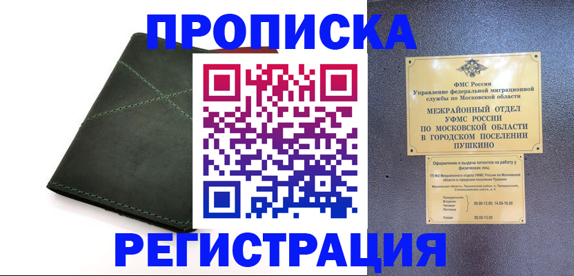 прописка в квартире в Курчалом