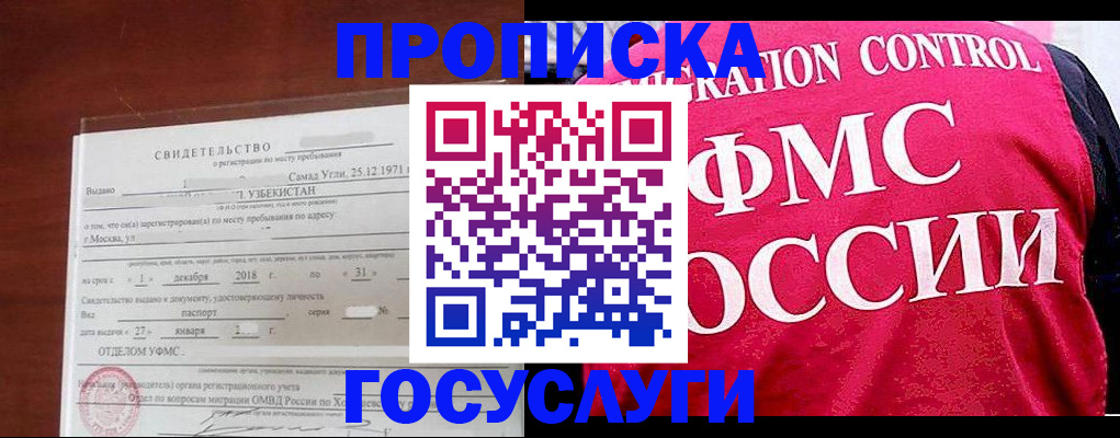 временная регистрация поиск в Курчалом